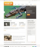 Связаться с Нами