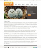 Политика конфиденциальности