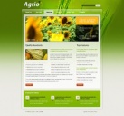 Особенности