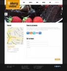 Связаться с Нами