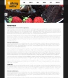 Политика конфиденциальности