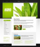 Особенности