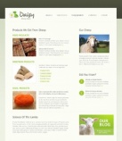 Sheep Products
