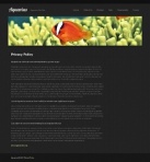 Политика конфиденциальности