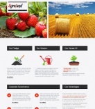 Особенности