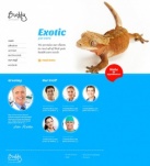 Наши сотрудники