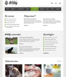 Наши услуги