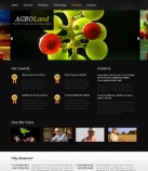 Особенности