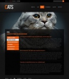 Часто задаваемые вопросы