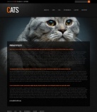 Политика конфиденциальности