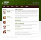 Наши сотрудники