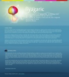 Политика конфиденциальности