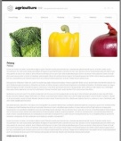 Политика конфиденциальности