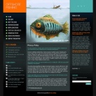 Политика конфиденциальности