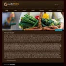 Политика конфиденциальности