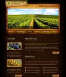 Особенности