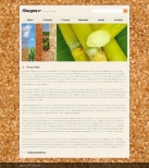 Политика конфиденциальности