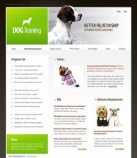 Dog Trainer Programs