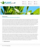 Политика конфиденциальности