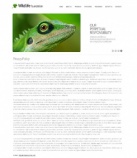 Политика конфиденциальности