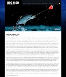 Политика конфиденциальности