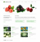 Наша продукция