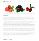 Политика конфиденциальности