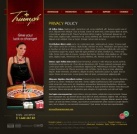 Политика конфиденциальности