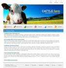 Политика конфиденциальности