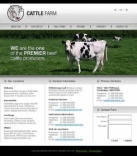 Связаться с Нами