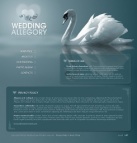 Политика конфиденциальности