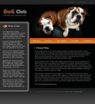 Политика конфиденциальности