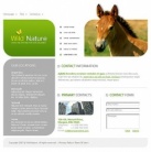 Связаться с Нами