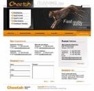 Связаться с Нами