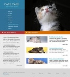 Finding And Buying A Kitten