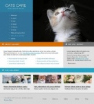 Gallery Of Cats And Kittens