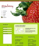 Связаться с Нами