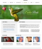 Наши сотрудники