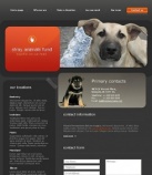 Связаться с Нами