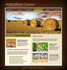 Особенности