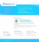 Company profile