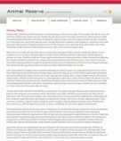 Политика конфиденциальности