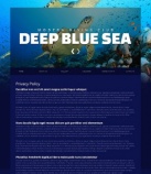 Политика конфиденциальности