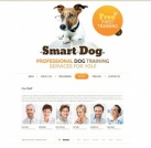 Сотрудники